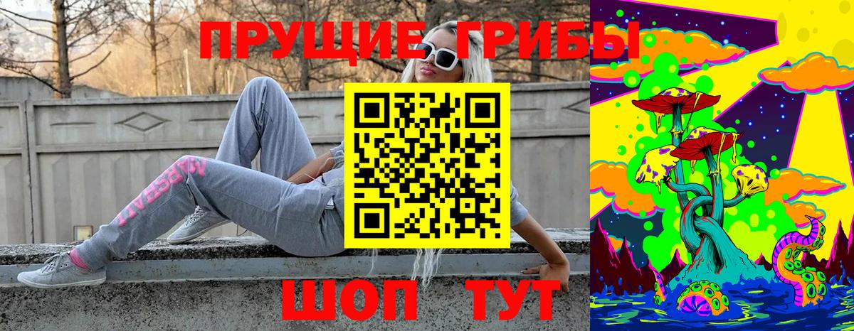 Петропавловск-Камчатский  Псилоцибиновые грибы Psilocybe  Вход с VPN  Галлюциногенные грибы Psilocybe 