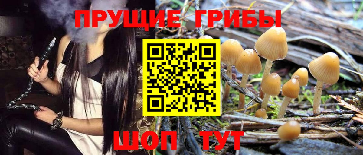 Псилоцибиновые грибы мицелий Петропавловск-Камчатский